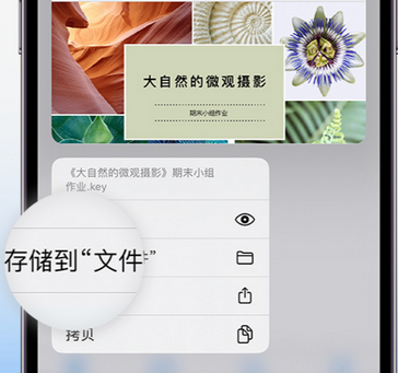 比如apple维修中心分享iPhone文件应用中存储和找到下载文件