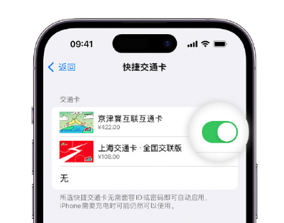 比如apple维修点分享iPhone上更换Apple Pay快捷交通卡手绘卡面 