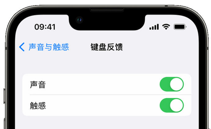 比如苹果手机维修分享iPhone 14触感键盘使用方法 