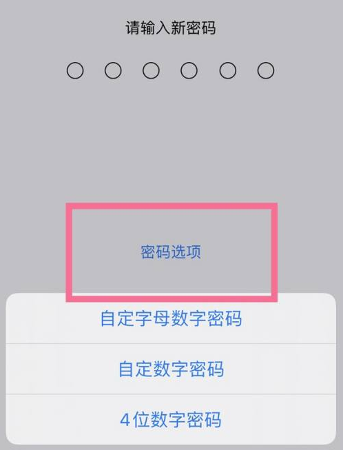 比如苹果14维修分享iPhone 14plus设置密码的方法 