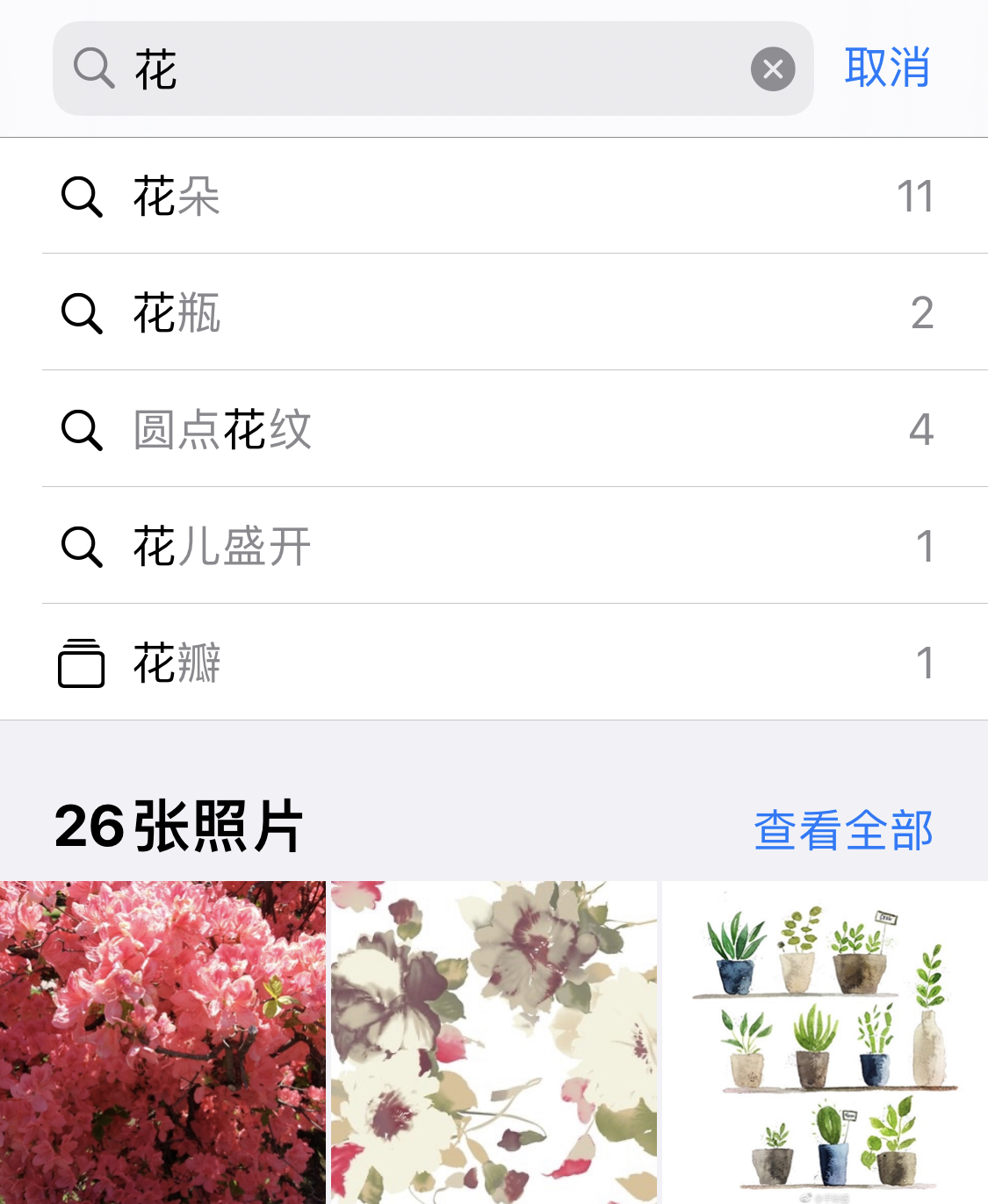 比如苹果手机维修分享iPhone 小技巧 